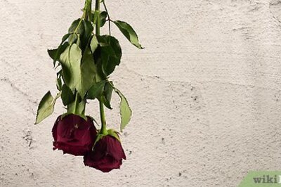 The 8 Best Ways to Preserve Flowers at Home