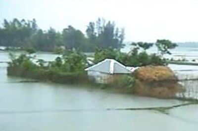 Save Bihar Campaign: How you can help