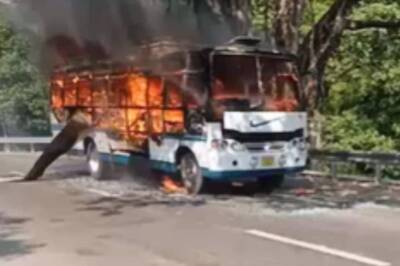 Jammu: 4 Killed, 22 Injured After Bus Carrying Vaishno Devi Pilgrims Catches Fire in Katra | WATCH