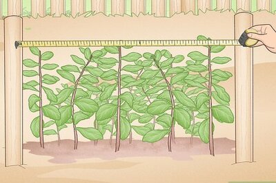 How to Cut Plastic Lattice