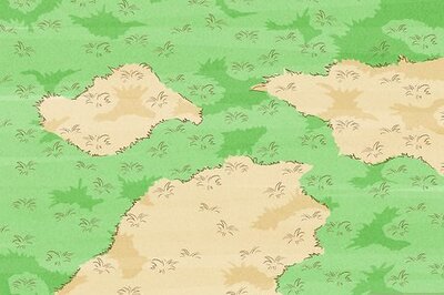 How to Treat Lawn Fungus