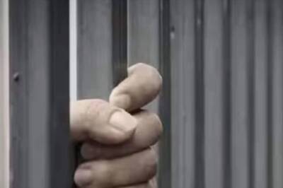 Bizarre Break-In: Burglar Cleans, Refills Bird Feeders And Cooks Meal Before Being Caught