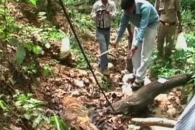 Tiger found dead in Jim Corbett park