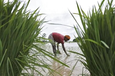 Punjab: Bharatiya Kisan Union protests against anti-farmer policies