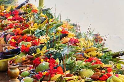 World Cup Final on Nov 19 to be 'Dry Day' in Delhi for Chhath; No Liquor to be Served, Vends Closed