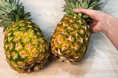 How to Dehydrate Pineapple