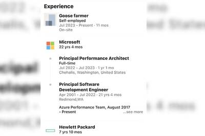 Man Left Microsoft After 22 Years To Become A Goose Farmer? His LinkedIn Profile Says So