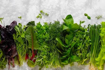 Berries To Yoghurt, 6 Foods You Must Have In Winter If You're Diabetic