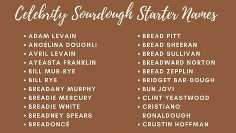 340+ Cute & Funny Name Ideas for Sourdough Starters