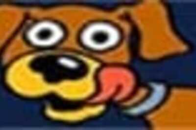 Dog saves woman and itself