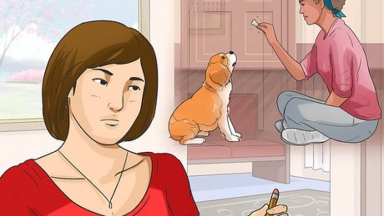 How to Train Your Dog to Use a Dog Door