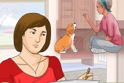 How to Train Your Dog to Use a Dog Door