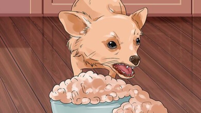 How to Tell if a Dog Is Getting Food Aggression