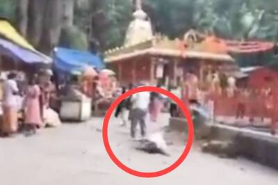 Woman Critically Injured After Tree Falls on Her at Andhra's Tirumala Temple, Scary Video Surfaces