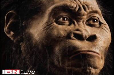 New human-like species discovered in South Africa, scientists name it Homo Naledi