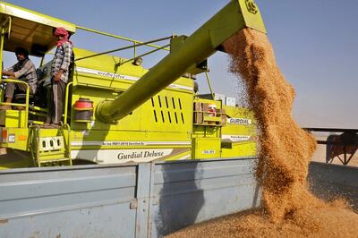 Russia-Ukraine War Could be ‘Opportunity in Disaster’ for India’s Rural Economy