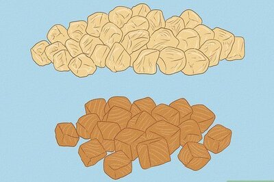 How to Give a Kitten Treats