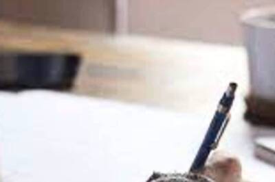 Bihar BEd CET 2022: Last Date to Apply Today, Exam on June 3