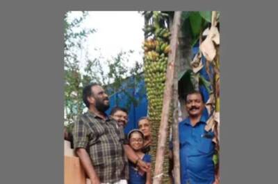 In Kerala's Avanavanchery, Why This Banana Plant Is Attracting Visitors