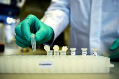 In Key Breakthrough, Covid-19 Vaccine Developed by Oxford University Scientist Could Be Available Around October