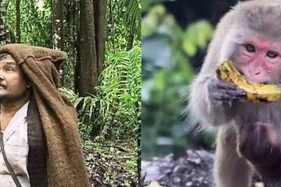 In Karnataka's Siddapur, Villagers Hire People To Keep Monkeys Away From The Farm