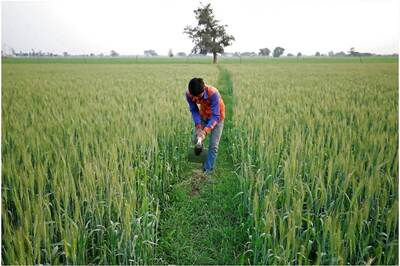 Retail Inflation for Farm, Rural Workers Up in February