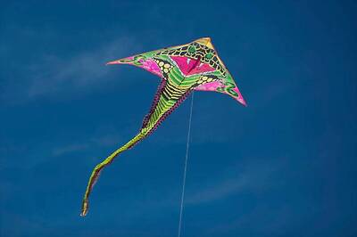 Telangana to Host International Kite Festival from January 12